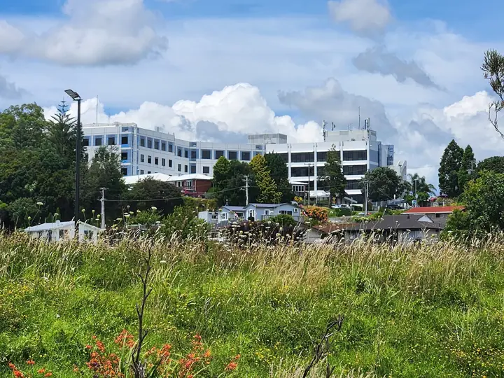 A large white multi-storey hospital building seen from behind, above trees, houses and a grassy field with long grass in the foreground, under a partly cloudy sky