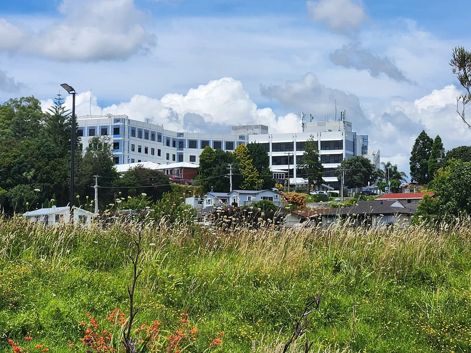 A large white multi-storey hospital building seen from behind, above trees, houses and a grassy field with long grass in the foreground, under a partly cloudy sky