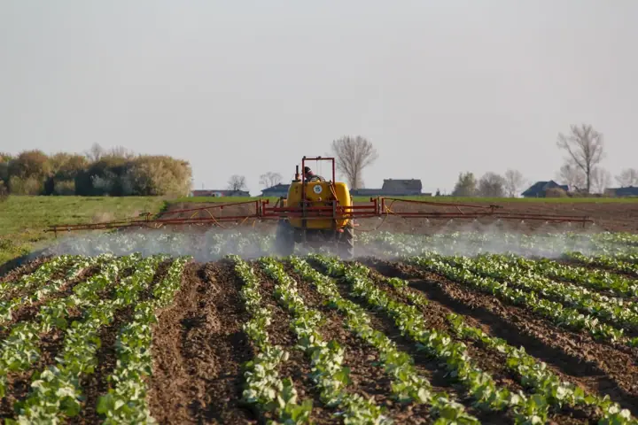 A yellow tractor with a wide boom sprays a mist over rows of young leafy crops in a flat field